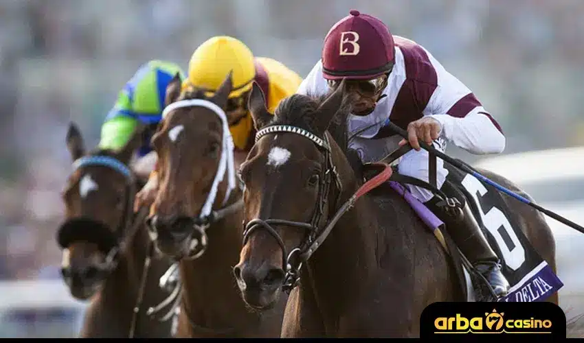 أشهر بطولات سباقات الخيل العربية