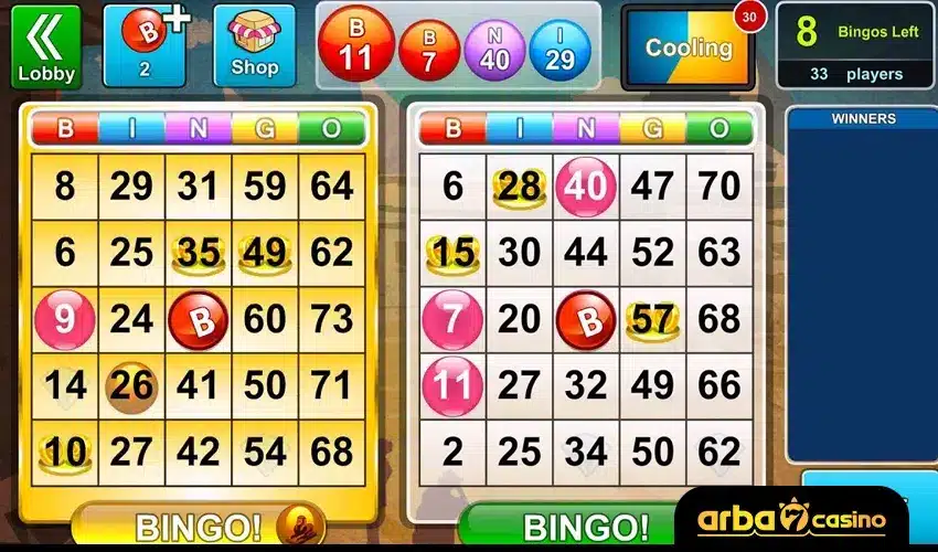 قواعد لعبة بينجو اون لاين في الكازينو